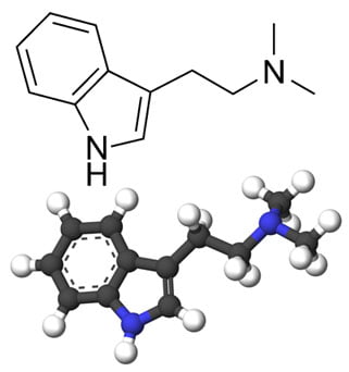 DMT-estructura-quimica DMT-estructura-quimica