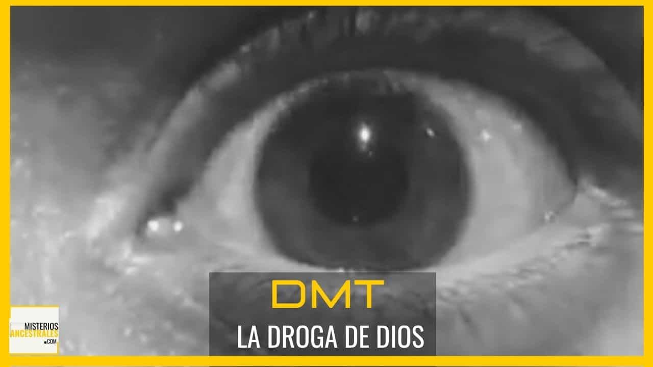 DimetilTriptamina - La Droga de Dios DimetilTriptamina - La Droga de Dios