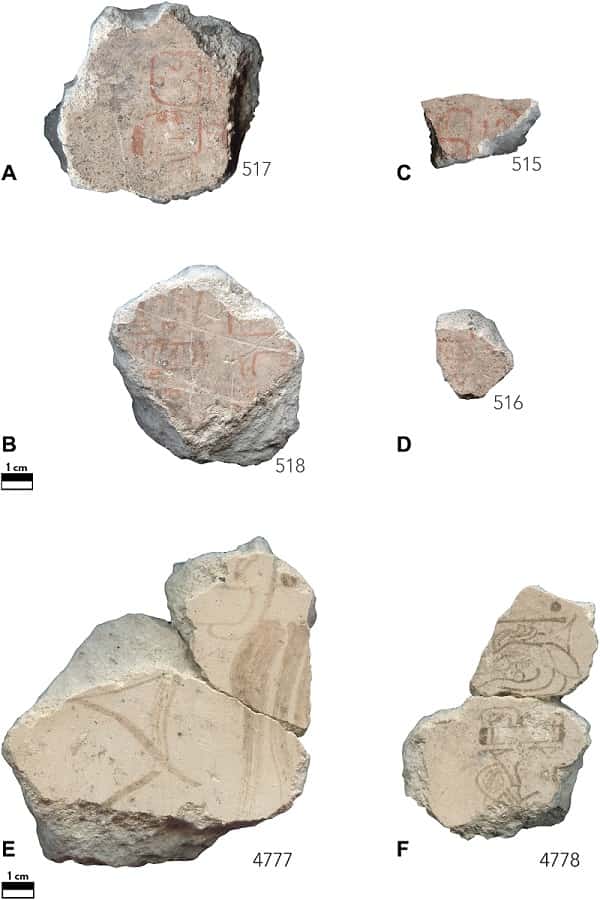 Fragmentos de pintura mural 
