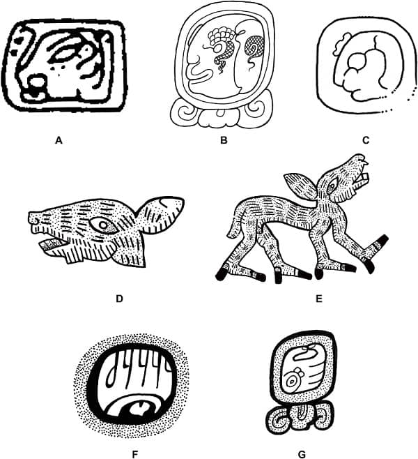 Signos Calendario Maya