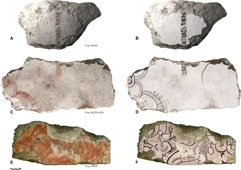 Fragmentos de pintura mural 